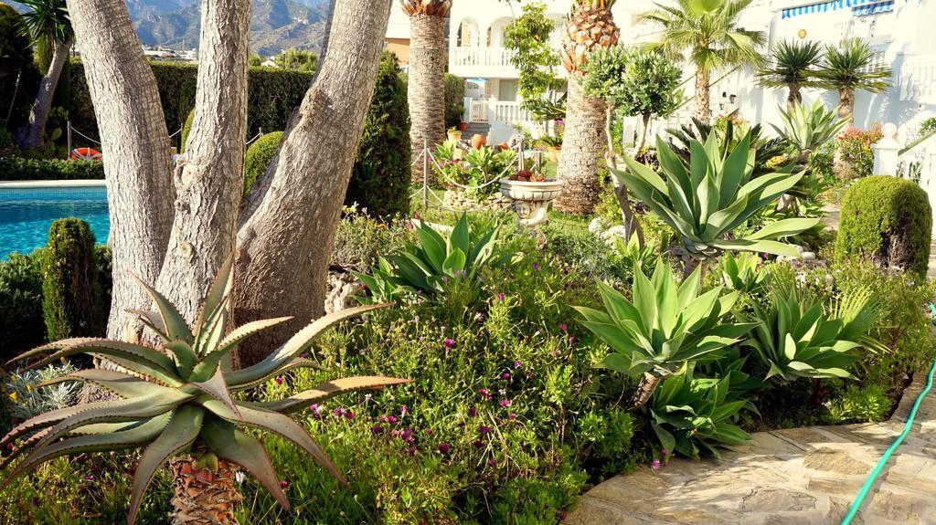 Apartamentos Starnerja En Stella Maris 객실 사진